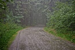 Billede af vej i regnvejr