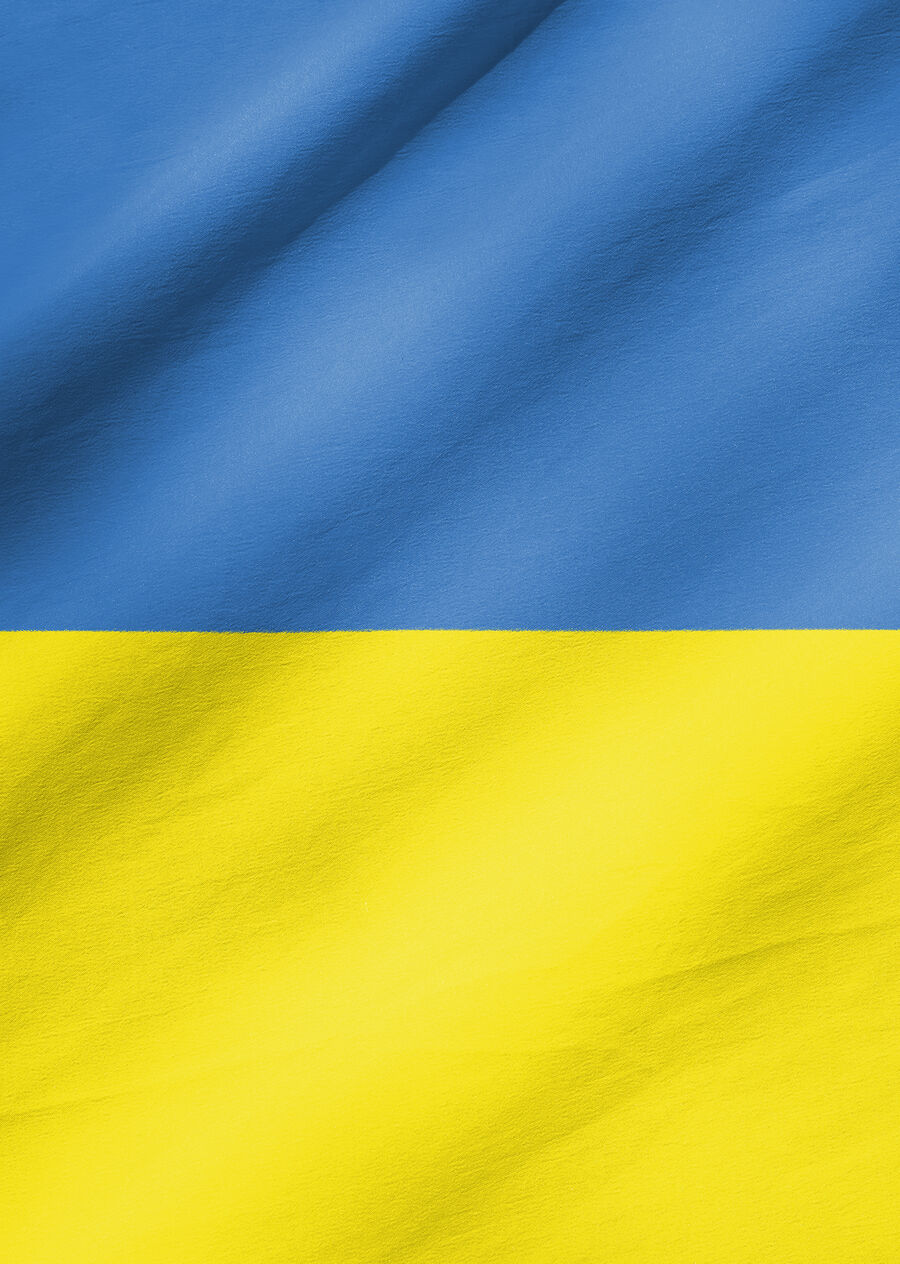 Billede af Ukraines flag