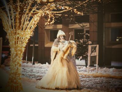 Snedronningen v. Signe Marie fra Fairywork